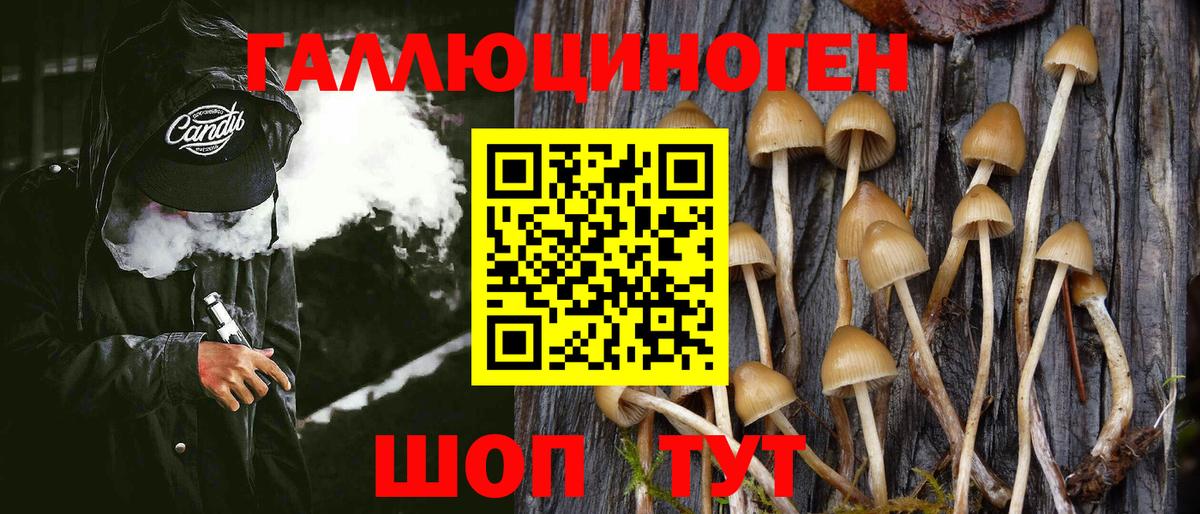 Галлюциногенные грибы Cubensis  Псилоцибиновые грибы Magic Shrooms  Нижнекамск  Вход с VPN 